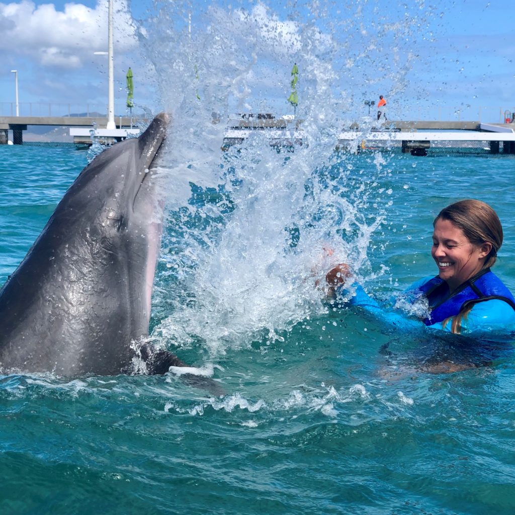 Coral World Ocean Park US Virgin Islands Hotels and Resorts